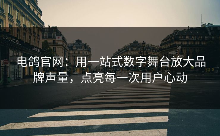 电鸽官网：用一站式数字舞台放大品牌声量，点亮每一次用户心动