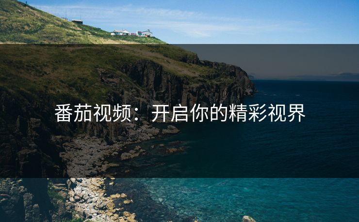 番茄视频：开启你的精彩视界