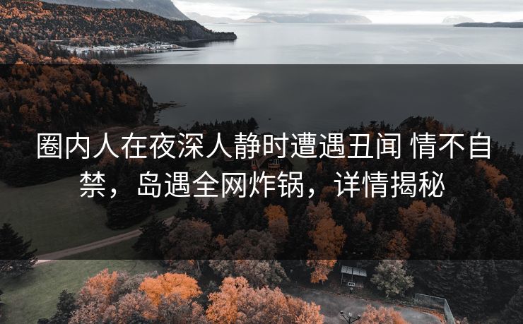 圈内人在夜深人静时遭遇丑闻 情不自禁，岛遇全网炸锅，详情揭秘