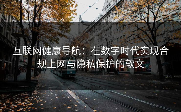 互联网健康导航：在数字时代实现合规上网与隐私保护的软文