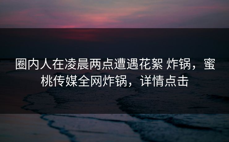 圈内人在凌晨两点遭遇花絮 炸锅，蜜桃传媒全网炸锅，详情点击